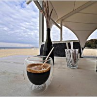 Перекус в Песке. :: Валерия Комова Перекус в Песке. :: Валерия Комова