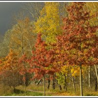 Октябрь... :: Aleksandr Gal