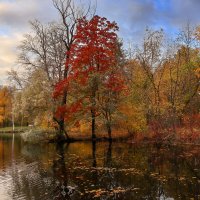 Елагин :: skijumper Иванов Елагин :: skijumper Иванов