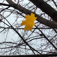 ,,, :: Сергей Тимоновский ,,, :: Сергей Тимоновский