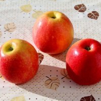 Яблочки :: Владимир Помазан