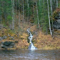 Лесной ручей :: Галина Ильясова