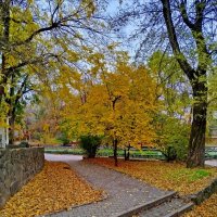 Осенние аллеи! :: Надежда Осенние аллеи! :: Надежда