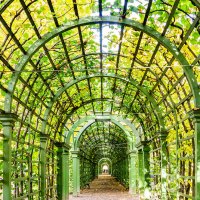 Берсо :: Ирина Соловьёва Берсо :: Ирина Соловьёва