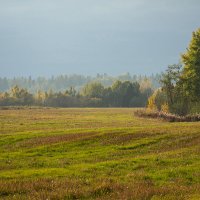 * :: Роман никандров