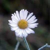 ** :: Зоя Мишина