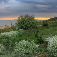 Закат :: Оксана Новик 