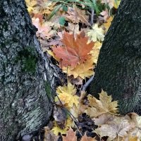 *** :: Любовь *** :: Любовь