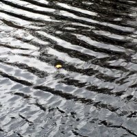 Плыл листок по Ловати... :: Владимир Павлов