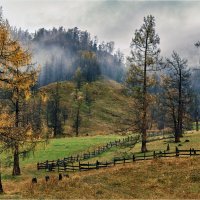 Осень в горном Алтае :: Алексей Мезенцев Осень в горном Алтае :: Алексей Мезенцев