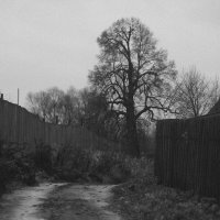 *** :: Анна Малышева