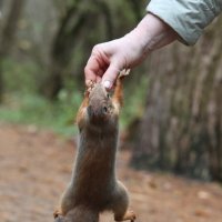 Есть отрыв! :: Александр Кондаков