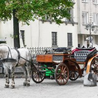 Лошадиное такси :: Светлана Ищенко