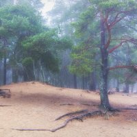 *** :: Сергей  Могутов 