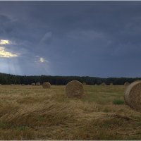 Картинка августа :: Валентин Котляров Картинка августа :: Валентин Котляров