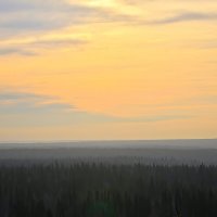 - :: Владимир Мигонькин