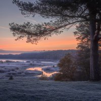 **** :: Елизавета .