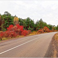 Ноябрь на Куршской косе. :: Валерия Комова Ноябрь на Куршской косе. :: Валерия Комова
