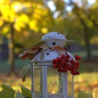 Октябрь :: Оксана Новик 