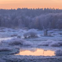 **** :: Елизавета .