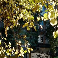 *** :: Валентина Береснева