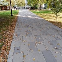 Осень в Москве. :: Владимир Драгунский