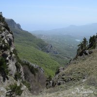 Природа Крыма :: Amazing Cosmea