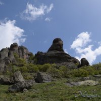 Природа Крыма :: Amazing Cosmea