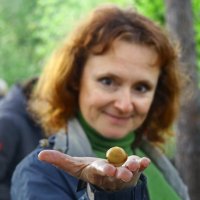 Жареный пельмешек :: СЮ 