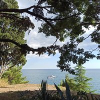 Крым :: Галина 