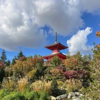 Японский сад в парке Галицкого Пагода Тахото :: Galina 