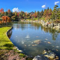 Японский сад в парке Галицкого Зеркальный пруд Кагамиикэ :: Galina 