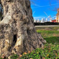 Осень в Венеции :: Aida10 