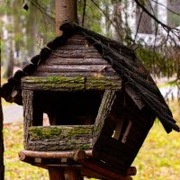 Парк осенью :: Светлана Мишенёва