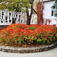 Яркость осени! :: Надежда 