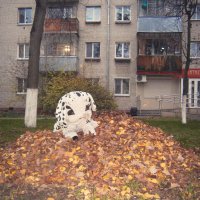 Утренняя история :: Sergei Vikulov