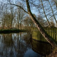 В парке... :: Николай Гирш В парке... :: Николай Гирш