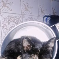 Принцеса :: Сергей Кочнев