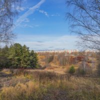 Палитра ноября... :: Владимир Жданов