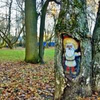 старичок-лесовичок :: АЛЕКСАНДР 