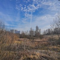 Под небом ноября... :: Владимир Жданов