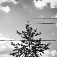 Фотография :: Денис Безногов