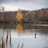 Ноябрьская свеча... :: Bosanat Ноябрьская свеча... :: Bosanat