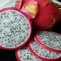 Экзотика :: Galina Solovova