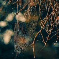 *** :: Виктор Иванович Чернюк