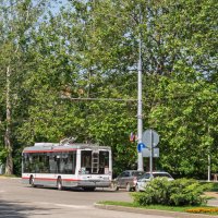 Троллейбус :: Игорь Сикорский