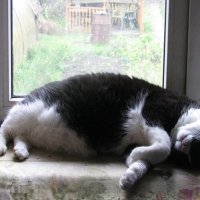 Когда на улице дождь :: Людмила Смородинская