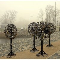 Деревья для молодоженов :: Aleksandr Gal Деревья для молодоженов :: Aleksandr Gal