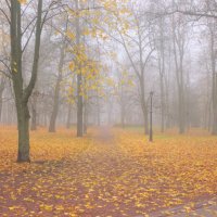 *** :: Сергей Григорьев