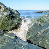 Берега Охотского моря :: ИРЭН@ .